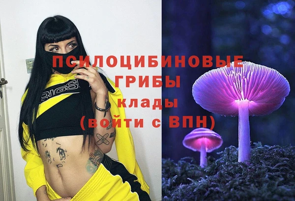 a pvp Абаза