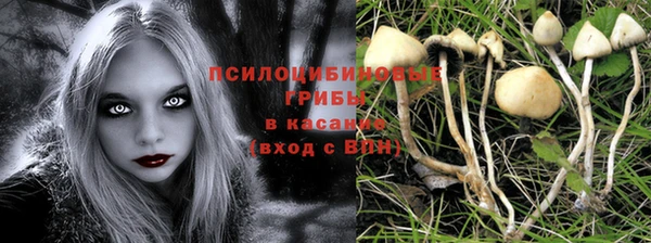 ПСИЛОЦИБИНОВЫЕ ГРИБЫ Абдулино