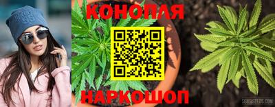 прущие грибы Новозыбков