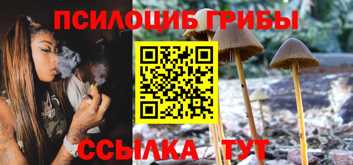 Ханты-Мансийск  хочу   Вход с VPN  Псилоцибиновые грибы прущие грибы 